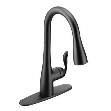 Matte Black Faucet with Escutcheon