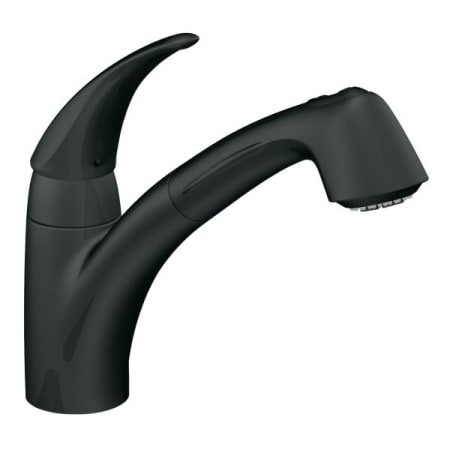 Matte Black Faucet