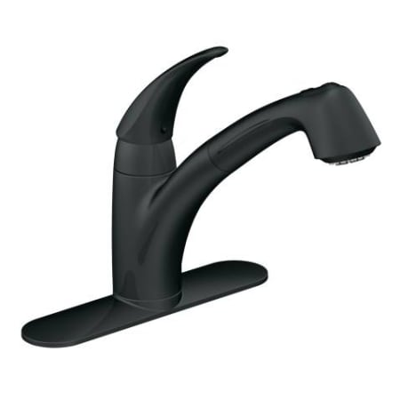 Matte Black Faucet with Escutcheon