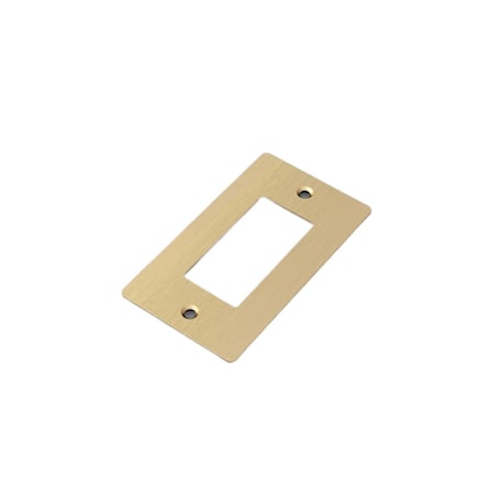 Buster + Punch Wall Plates Single Rocker Switch Outlet Brass