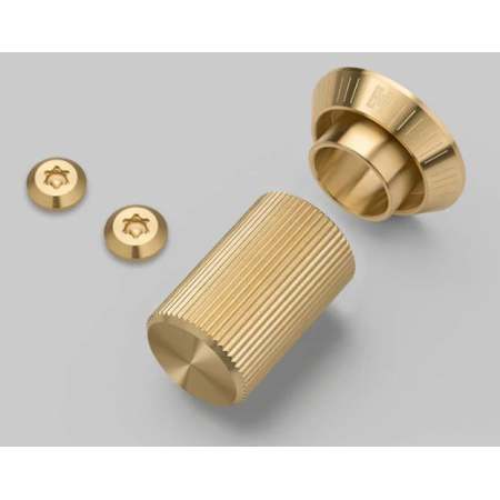 Buster + Punch Detail Kit Dimmer - Linear Brass