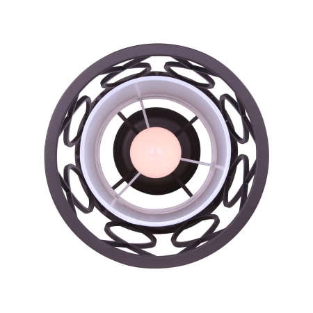 Alternate View