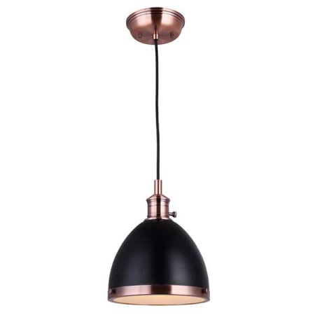Bronze / Black