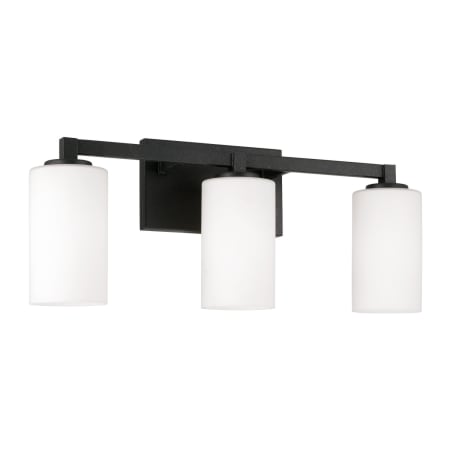 Capital Lighting Ravenwood 3 Light 23" Wide Vanity Light Black Iron
