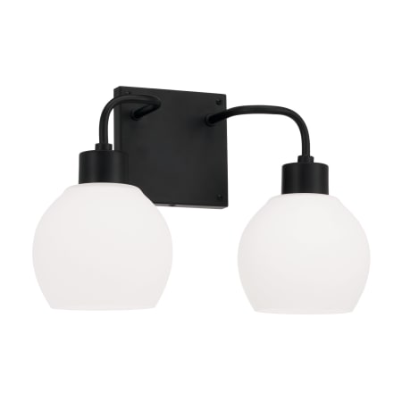 Capital Lighting Tanner 2 Light 15" Wide Vanity Light Matte Black