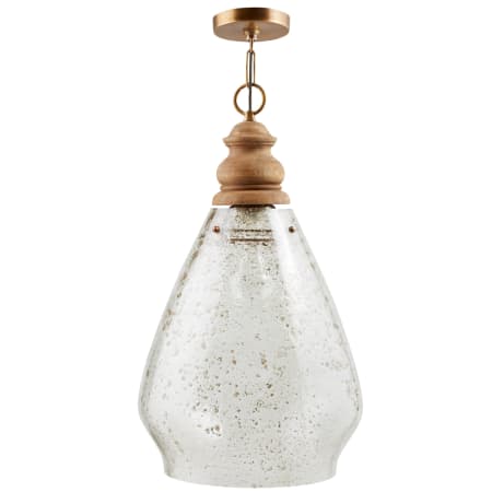 Capital Lighting 14" Wide Pendant with Seedy Glass Shade Light Wood