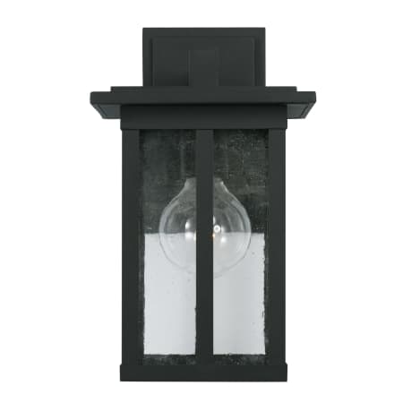 Alternate Image
