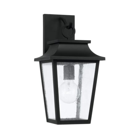 Capital Lighting Chandler 16" Tall Outdoor Wall Sconce Black