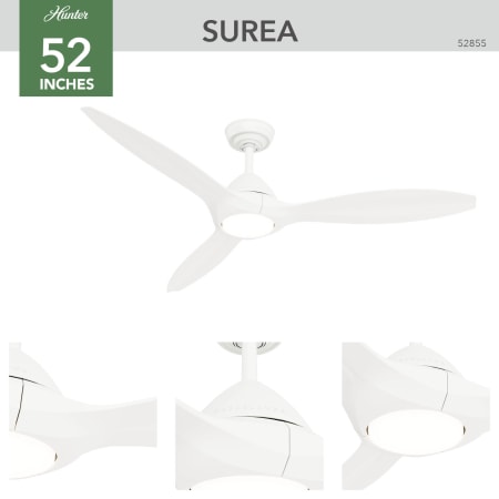 Surea