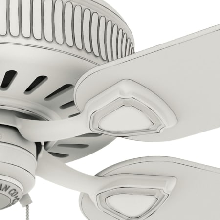 Casablanca-AINSWORTH 60-Close Up-1