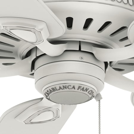 Casablanca-AINSWORTH 60-Close Up-1
