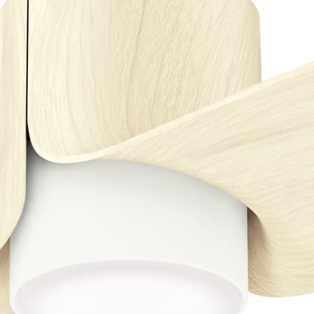 Casablanca-Aya 54 LED-Blade and Finish Image