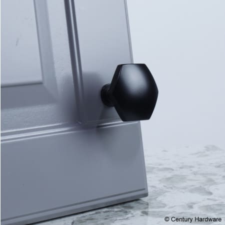 Century Hardware-10829-Black on grey door