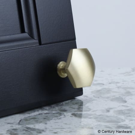 Century Hardware-10829-Brass on black door