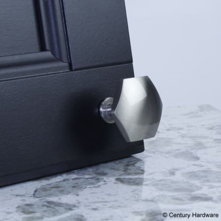 Century Hardware-10829-Nickel on black door