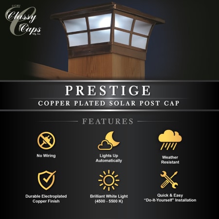 Infographic