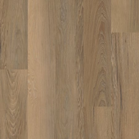COREtec Sample Only of VV585-50001 Niland Chestnut