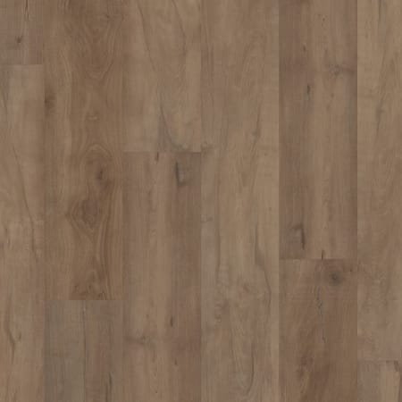 Warwick Maple