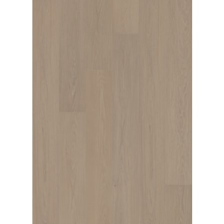 COREtec Sample Only of VV880-01031 Balanced Oak