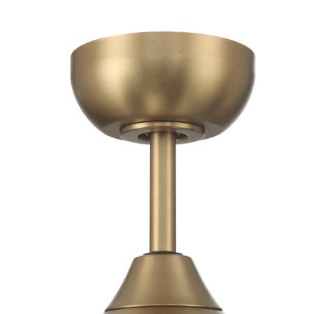 Alternate Image