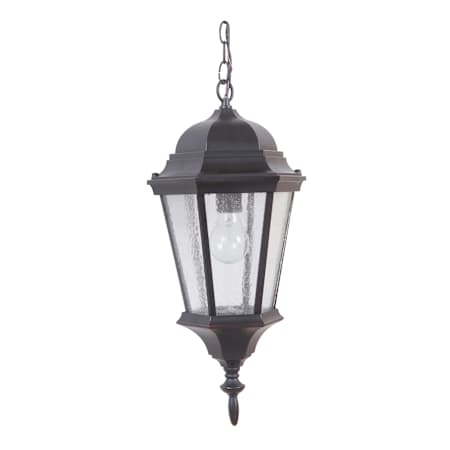 Craftmade Chadwick 10" Wide Outdoor Mini Pendant Oiled Bronze Gilded