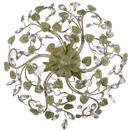 Alternate Image