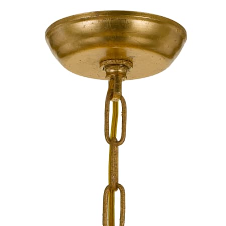 Alternate Image