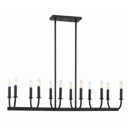 Crystorama Lighting Group Bailey 12 Light 42" Wide Linear Chandelier Matte Black