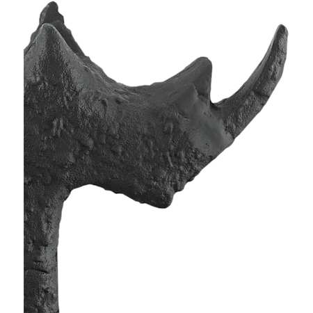 Alternate Image