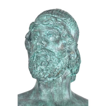 Alternate Image