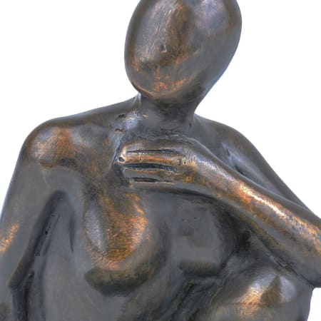 Alternate Image
