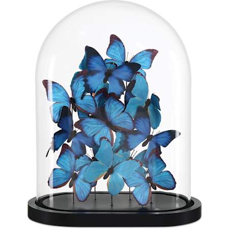 Currey and Company Rue de Bac 16-1/4" Tall Paper Butterflies with Clear Glass Dome Blue / Black / Clear