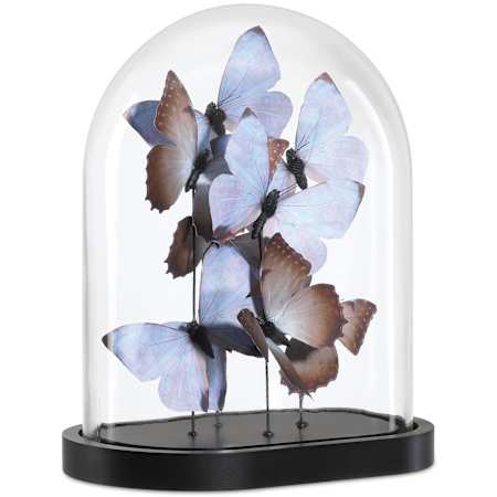 Currey and Company Rue de Bac 13" Tall Lilac Medium Butterflies Lilac / Brown / Black / Clear