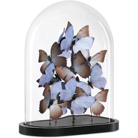 Currey and Company Rue de Bac 17" Tall Lilac Large Butterflies Lilac / Brown / Black / Clear