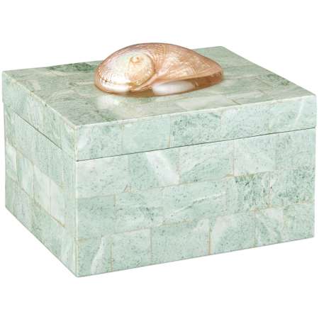 Currey and Company Fiona 9" Wide Box Natural