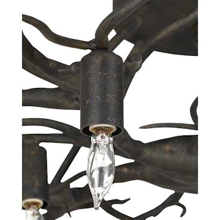 Alternate Image