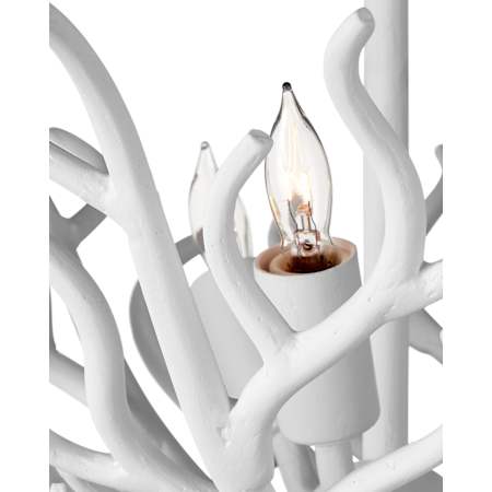 Alternate Image