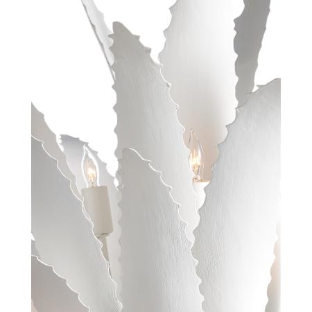 Alternate Image