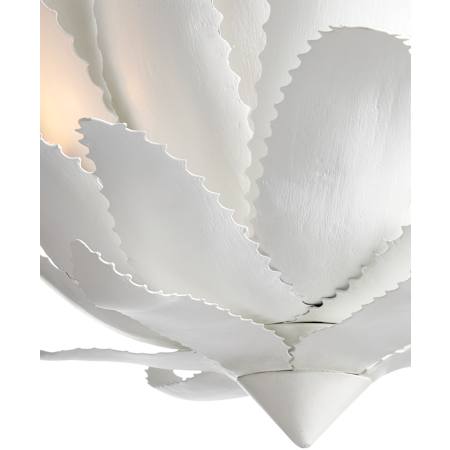 Alternate Image