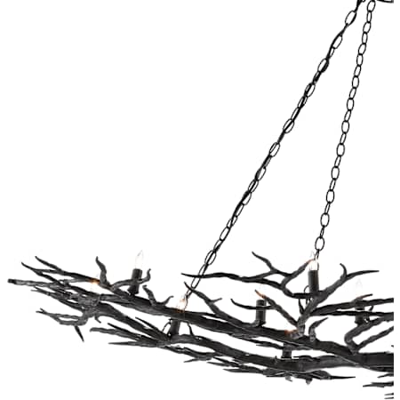 Alternate Image