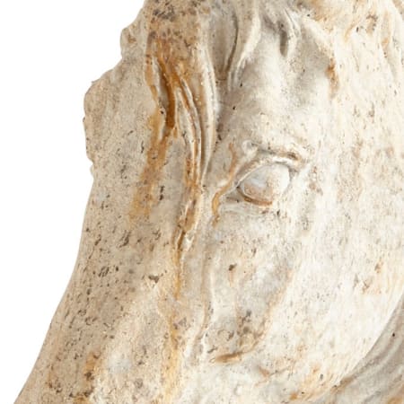 Cyan Design-08682-Up Close View of Majestic Mane Sculpture