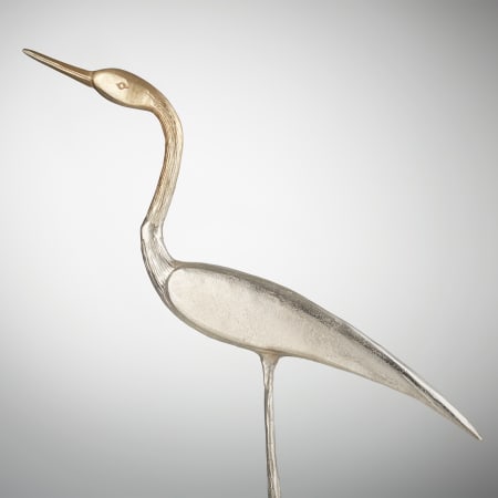 Alternate Image