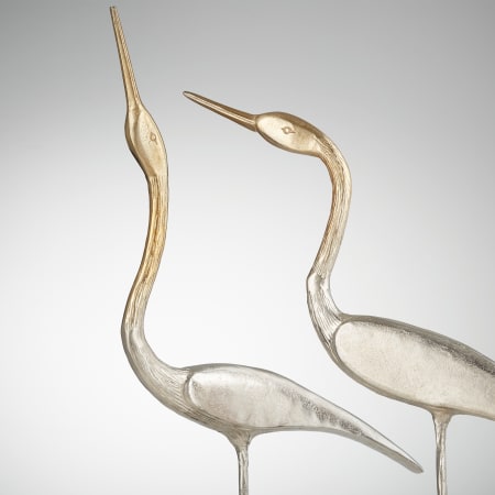 Alternate Image