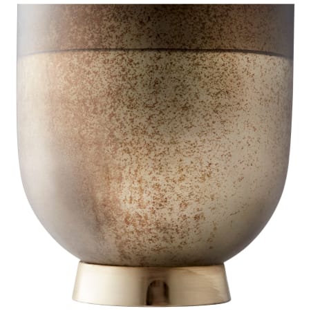 Alternate View