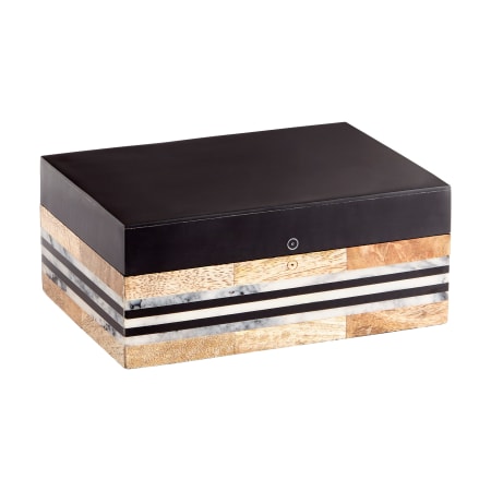 Cyan Design Large Resin and Wood Avondale Container Natural / Black