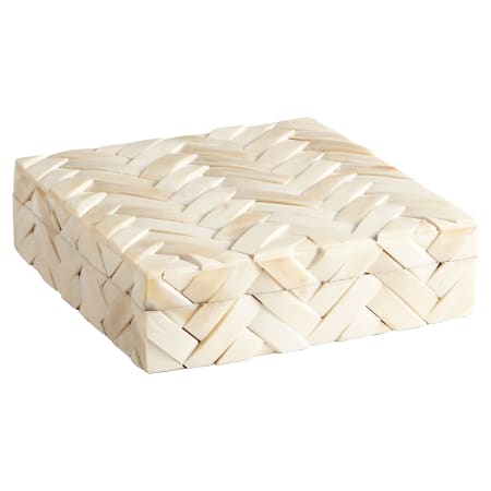 Cyan Design Large Bone and Wood Cumberland Container White