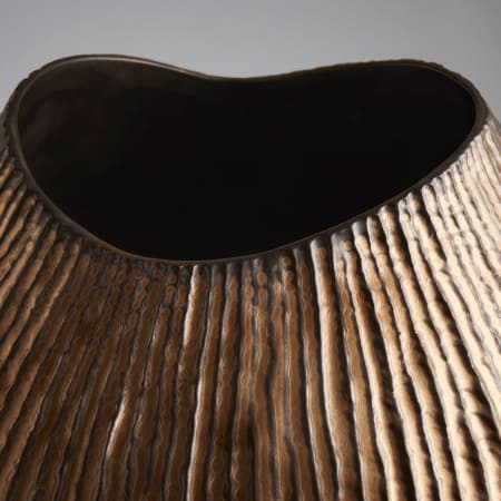 Alternate View