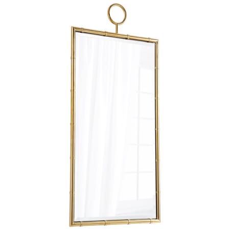 Cyan Design Golden Image 28-1/2" W x 61-1/4" H Rectangular Framed Bathroom Mirror Brass