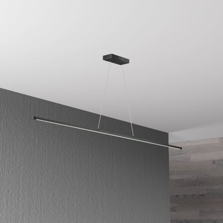 Alternate Image