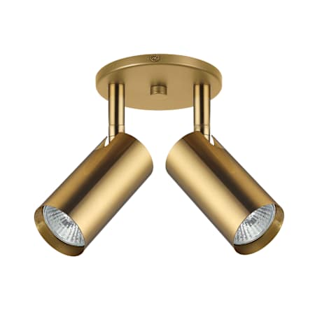Dainolite Stanly 2 Light 11" Wide Accent / Spot Lights Ceiling Fixture Aged Brass